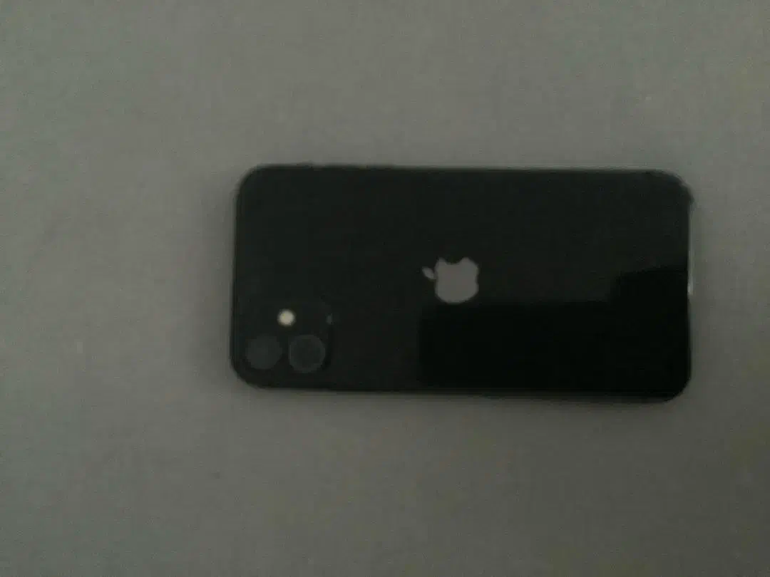 آیفون11 نرمال128|موبایل|شیراز, ملاصدرا|دیوار