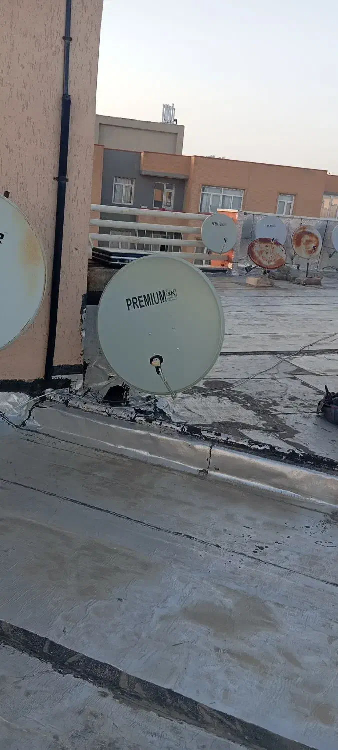 آنتن گردون|خدمات پیشه و مهارت|خسروشاه, |دیوار