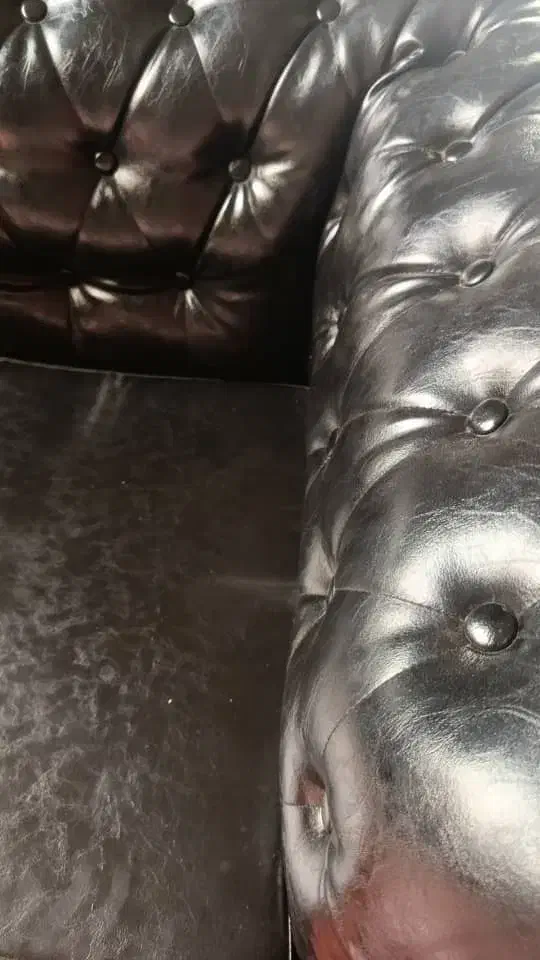 مبل چستر اصل|مبلمان خانگی و میز عسلی|میناب, |دیوار