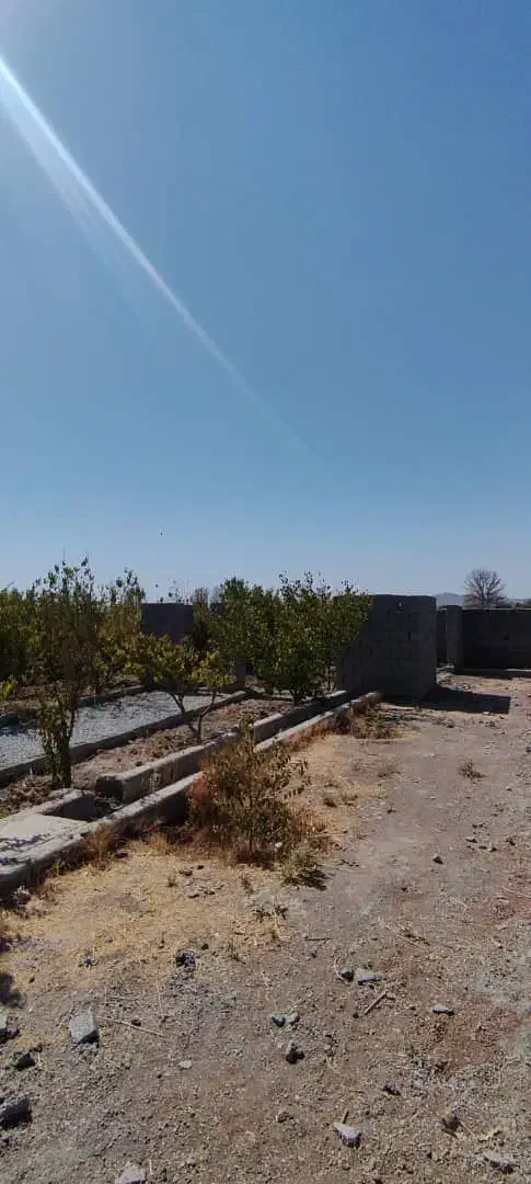 باغچه و باغ خوش آب و هوا/ منطقه امن /قابل ساخت|فروش زمین و ملک کلنگی|تهران, نازیآباد|دیوار