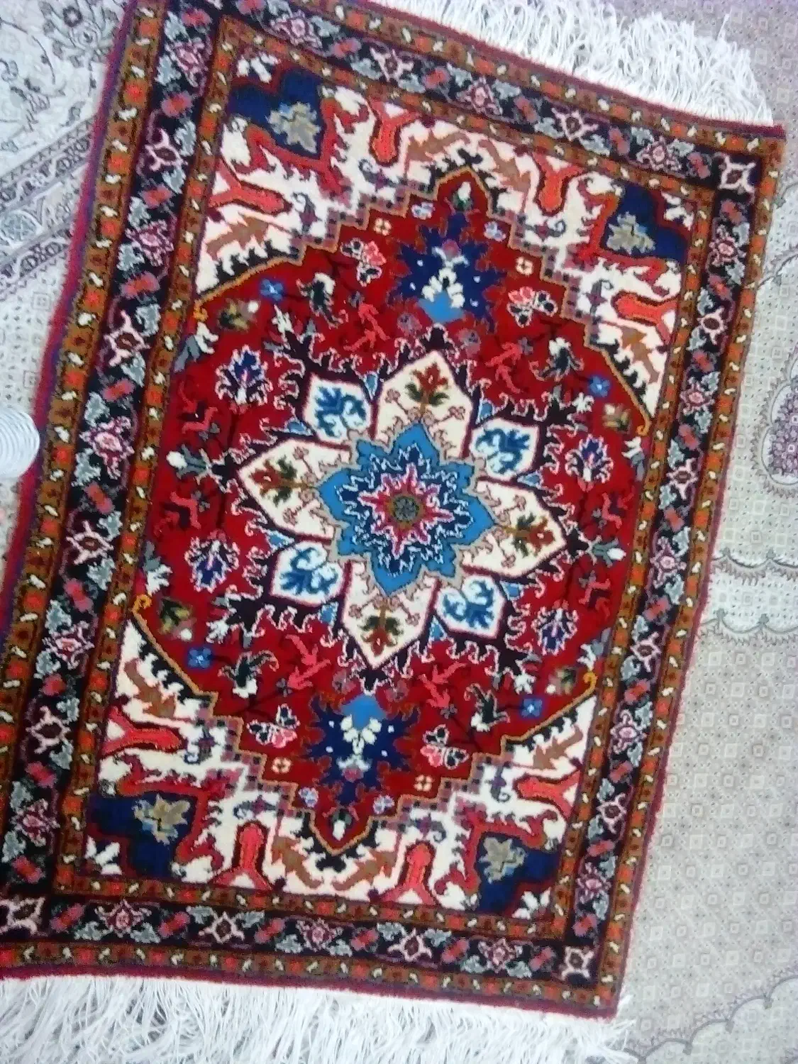 فرش دست بافت هریس نو|فرش|اسلام‌شهر, شهرک امام حسین (میان آباد)|دیوار