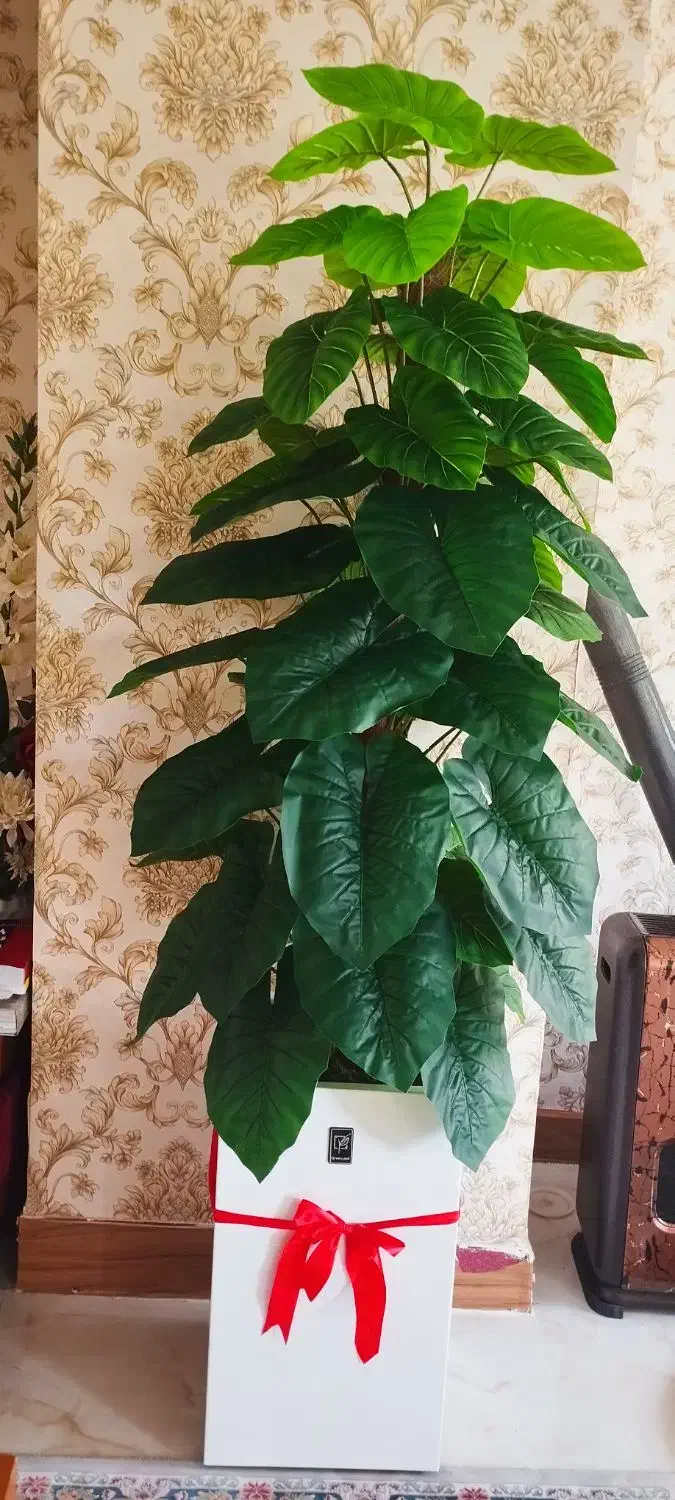 درختچه مصنوعی|گل مصنوعی|طرقبه, |دیوار