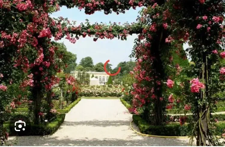 باغ هما شهر|فروش زمین و ملک کلنگی|همایجان, |دیوار