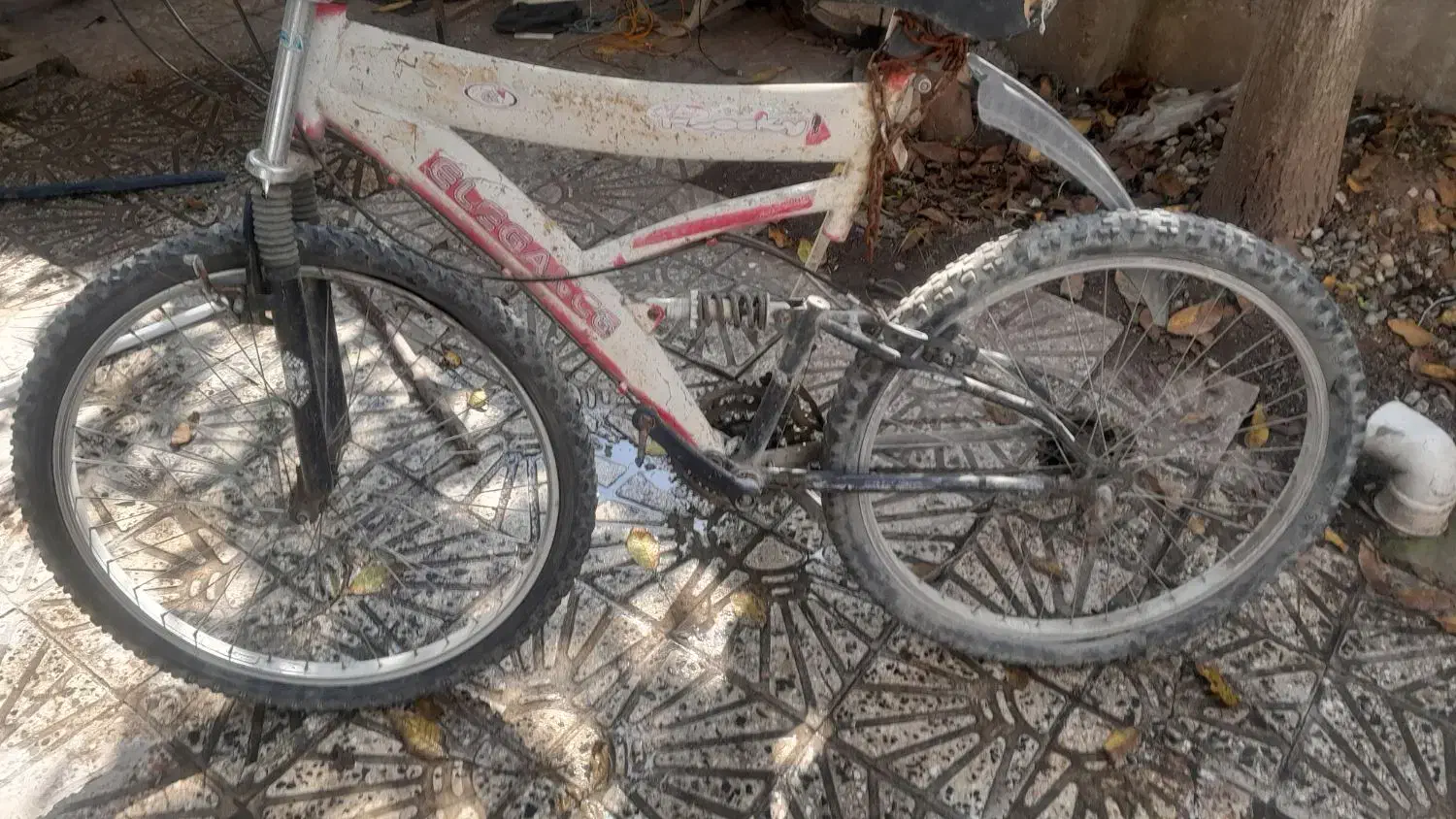 دوچرخه ۲۶|دوچرخه، اسکیت، اسکوتر|تالش, هشتپر|دیوار