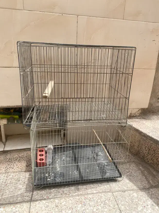 قفس پرنده|لوازم جانبی حیوانات|قم, ولیعصر|دیوار