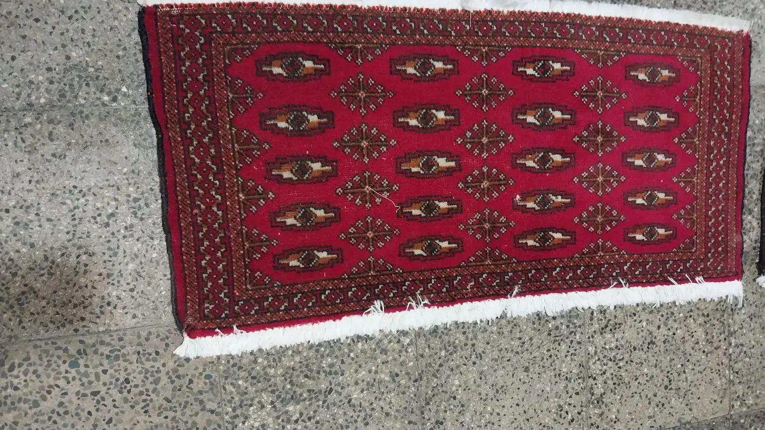 تعداد ۸عدد فرش دستبافت|فرش|تهران, سنگلج (شاپور)|دیوار