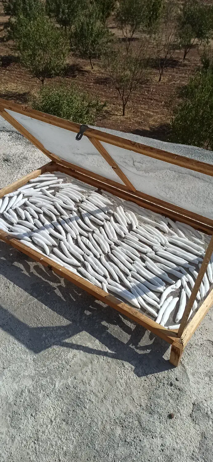 کشک وسوله که درجه یک وخوش طعم وکاملا بهداشتی|خوردنی و آشامیدنی|روانسر, |دیوار