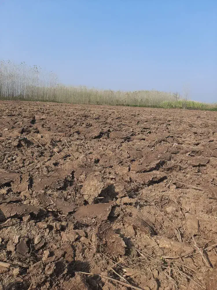 400هکتار|فروش زمین و ملک کلنگی|دیلمان, |دیوار