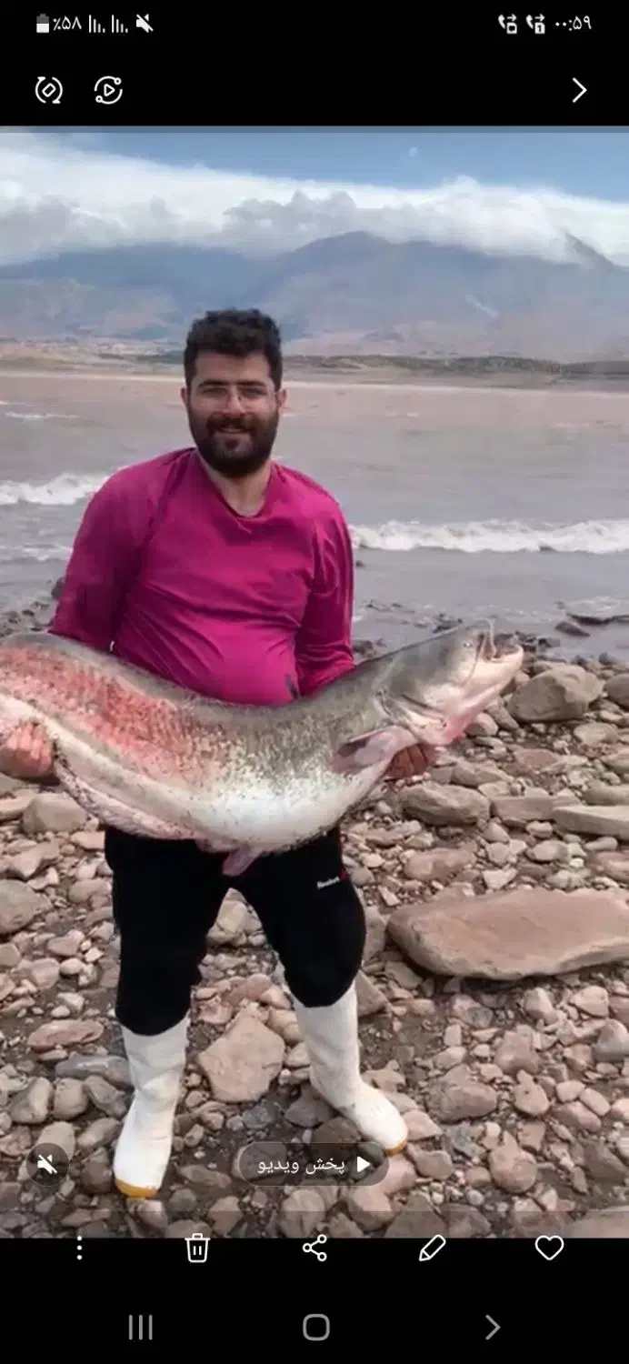 چوب چرخ ماهیگیری|ماهیگیری|قزوین, |دیوار