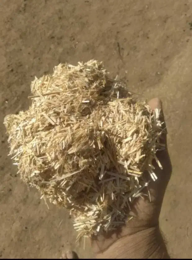 کاه گندم امسال|لوازم جانبی حیوانات|سراب, |دیوار