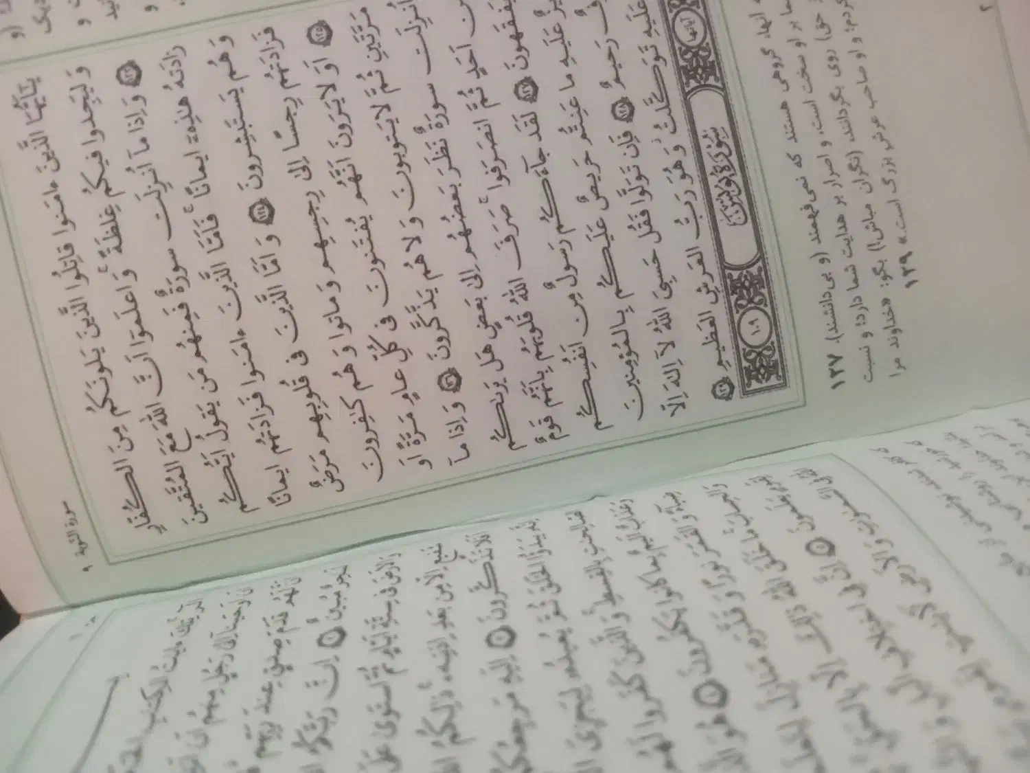 سرکتاب، فال ،باطل،پاکسازی|کتاب و مجله مذهبی|تهران, تهرانپارس غربی|دیوار