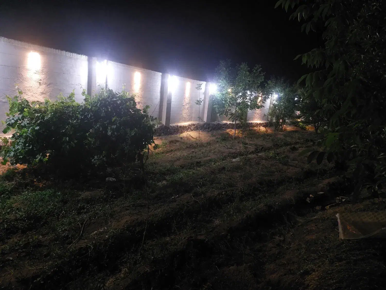 برقکار/ برق کشی ساختمان|خدمات پیشه و مهارت|اردکان, |دیوار