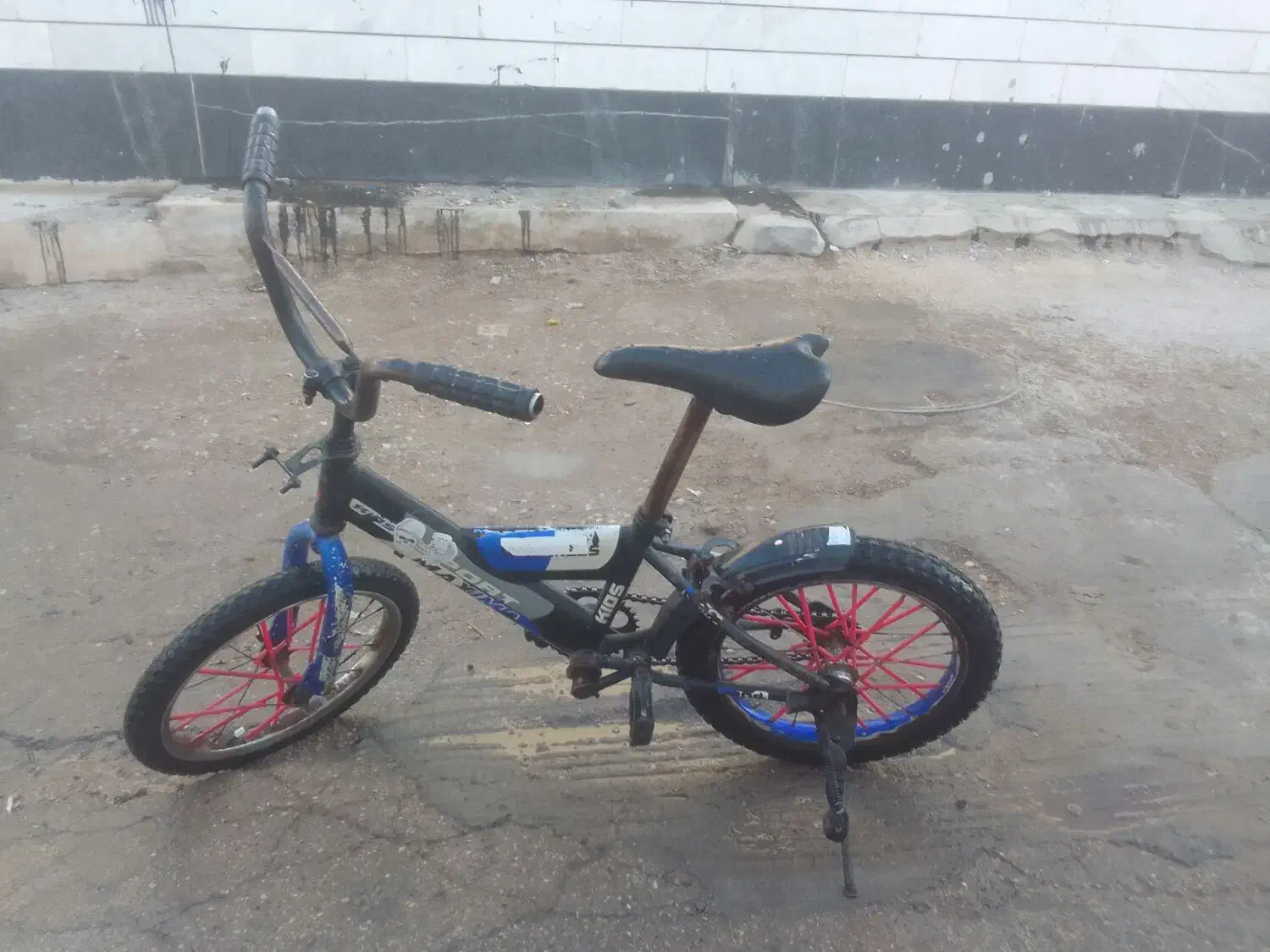 دوچرخه 16|دوچرخه، اسکیت، اسکوتر|باوی, |دیوار