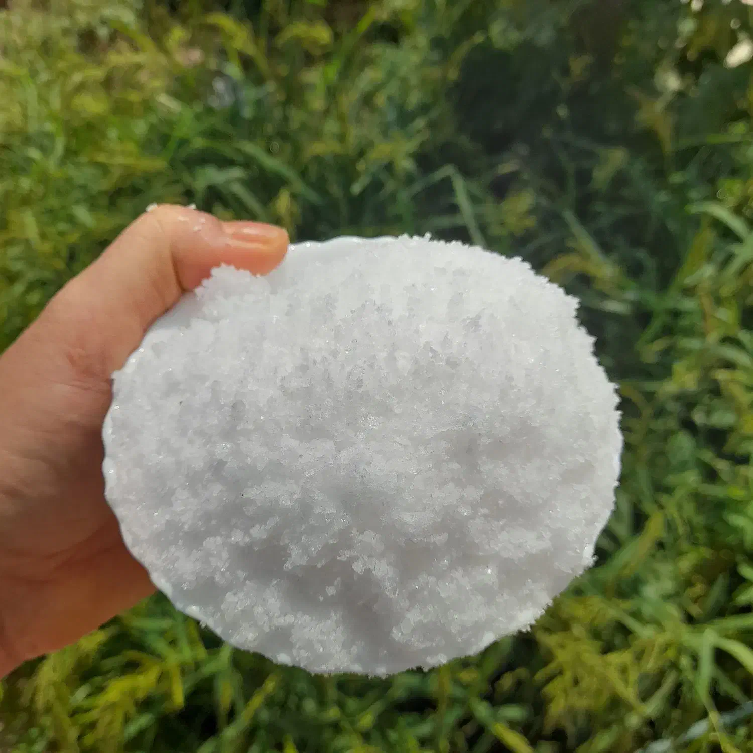 نمک طبیعی کال|خوردنی و آشامیدنی|میبد, |دیوار