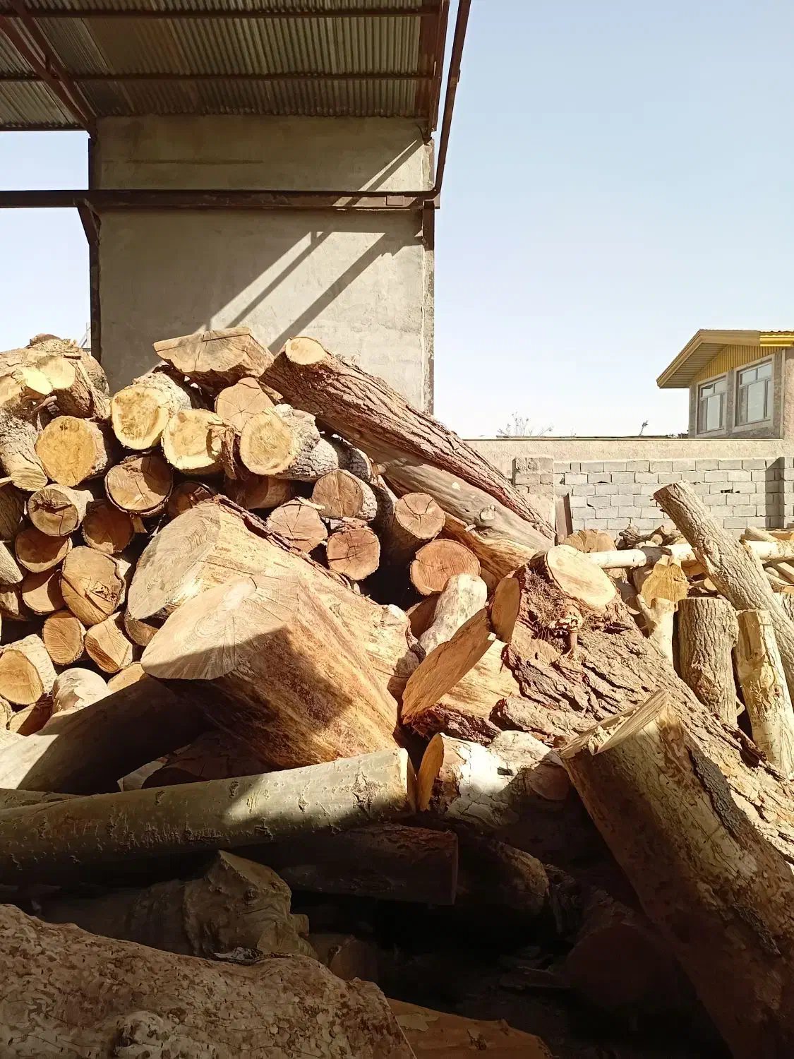 خریدار چوب انواع درختان باغی با بالاترین قیمت|خدمات باغبانی و درختکاری|محمدشهر, سیدآباد|دیوار