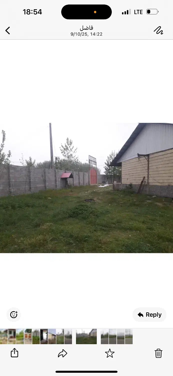 گاوداری با مجوز|فروش دفتر صنعتی، کشاورزی، تجاری|تولم شهر, |دیوار