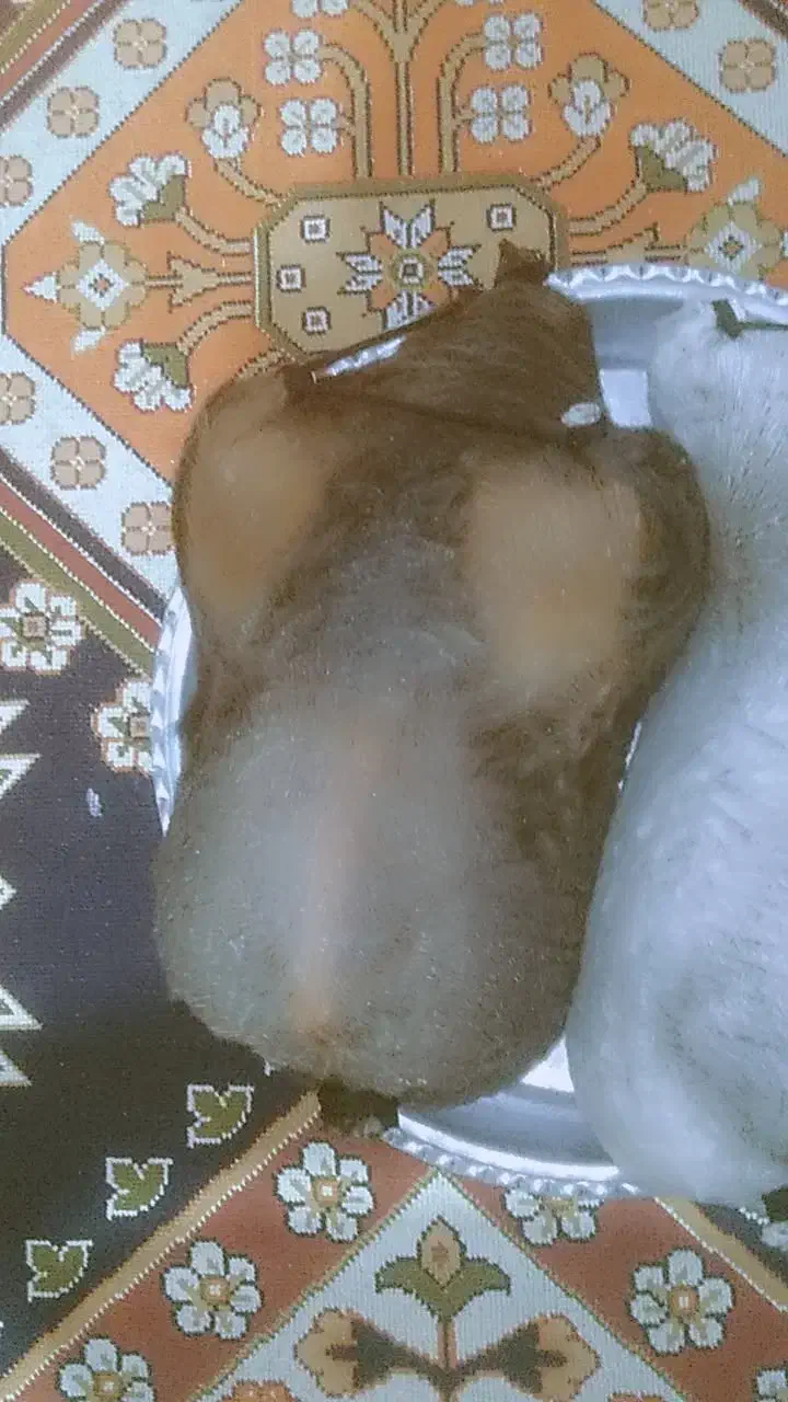 هیزه|ظروف نگهدارنده، پلاستیکی، یک‌بارمصرف|خرم‌آباد, |دیوار