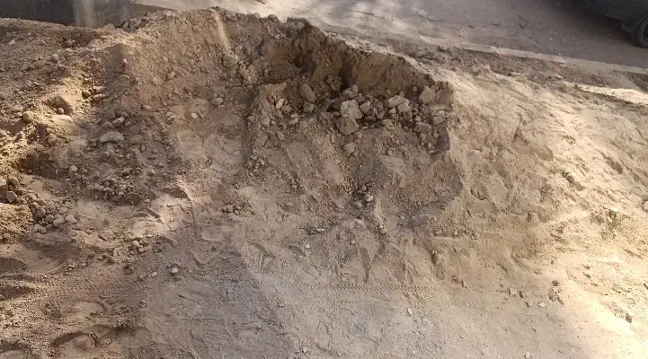 خاک لای مجانی|گل و گیاه طبیعی|تربت جام, المهدی|دیوار