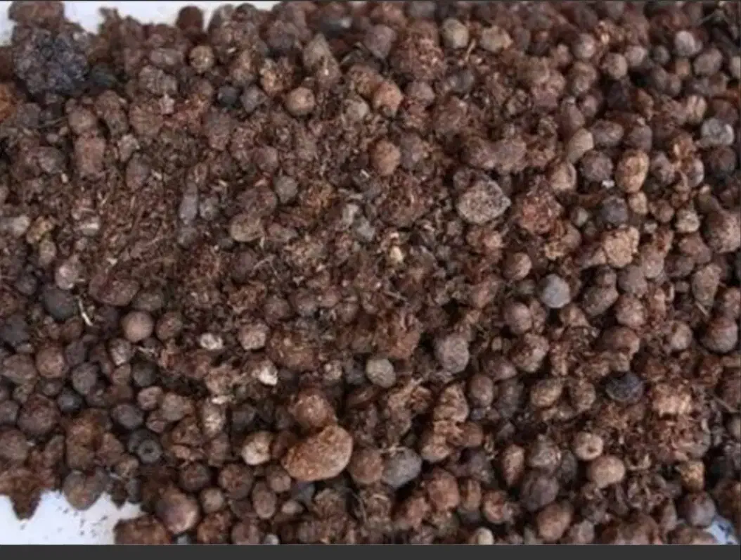 کود گوسفند|لوازم جانبی حیوانات|سیدان, |دیوار