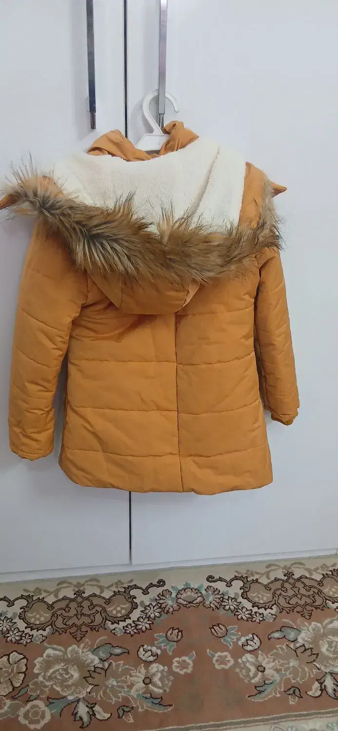 کابشن|کفش و لباس بچه|شاهینشهر, گرگاب|دیوار