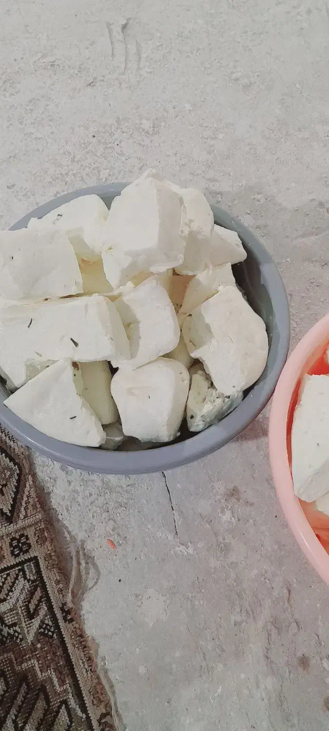 پنیر گوسفند|خوردنی و آشامیدنی|ماکو, |دیوار