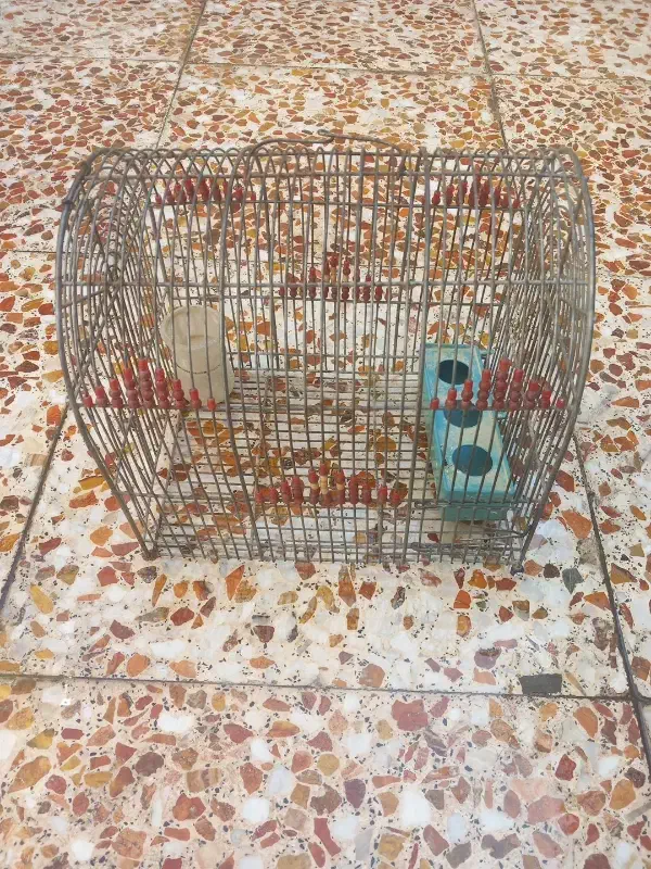 قفس پرنده|لوازم جانبی حیوانات|شیراز, کوشک میدان|دیوار