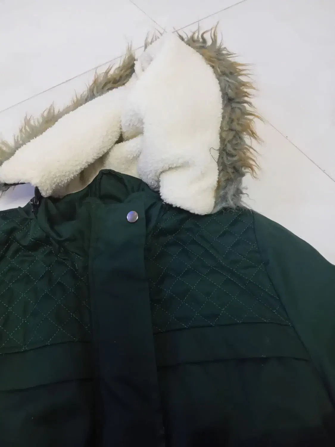 کاپشن نو|لباس|قوچان, |دیوار