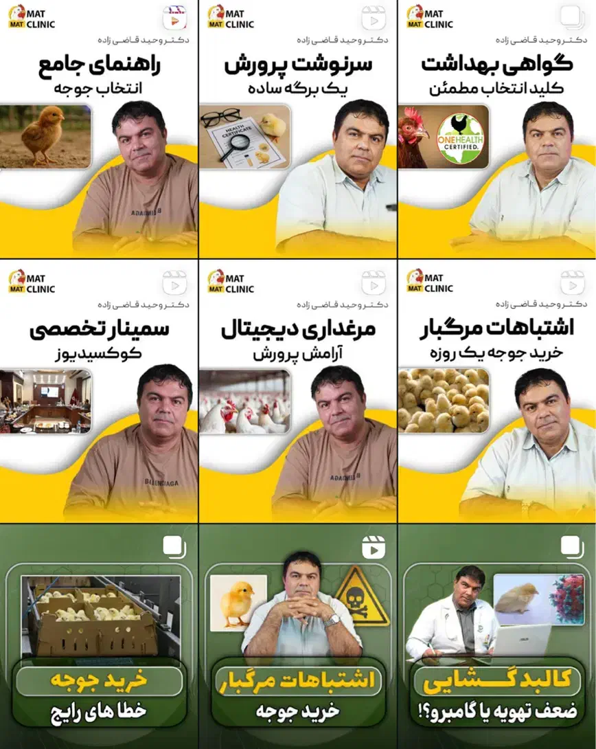 طراحی گرافیک لوگو تا تدوین وایرال با بهترین قیمت|خدمات رایانه‌ای و موبایل|تهران, آجودانیه|دیوار