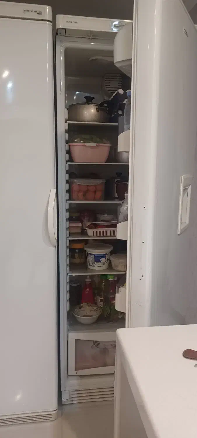 یخچال فریزر دو قلو هیمالیا|یخچال و فریزر|شیراز, آزادگان|دیوار