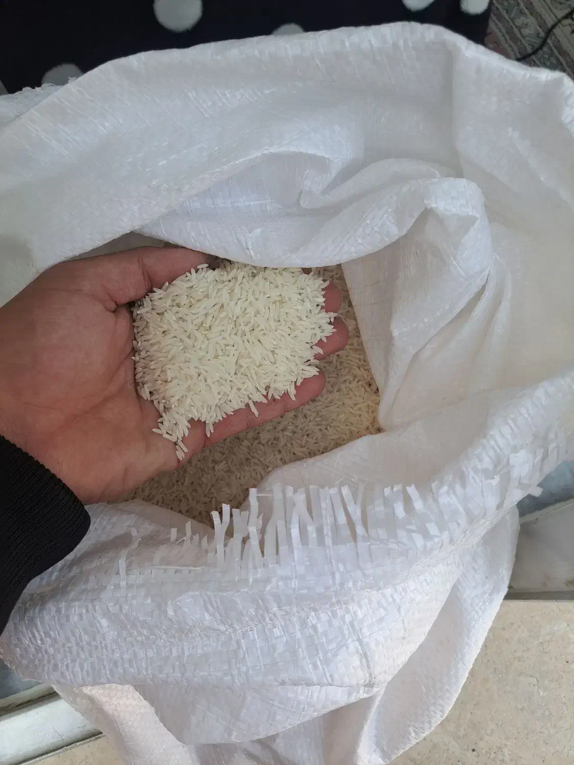 برنج هاشمی درجه ۱ امسال|خوردنی و آشامیدنی|اردبیل, |دیوار