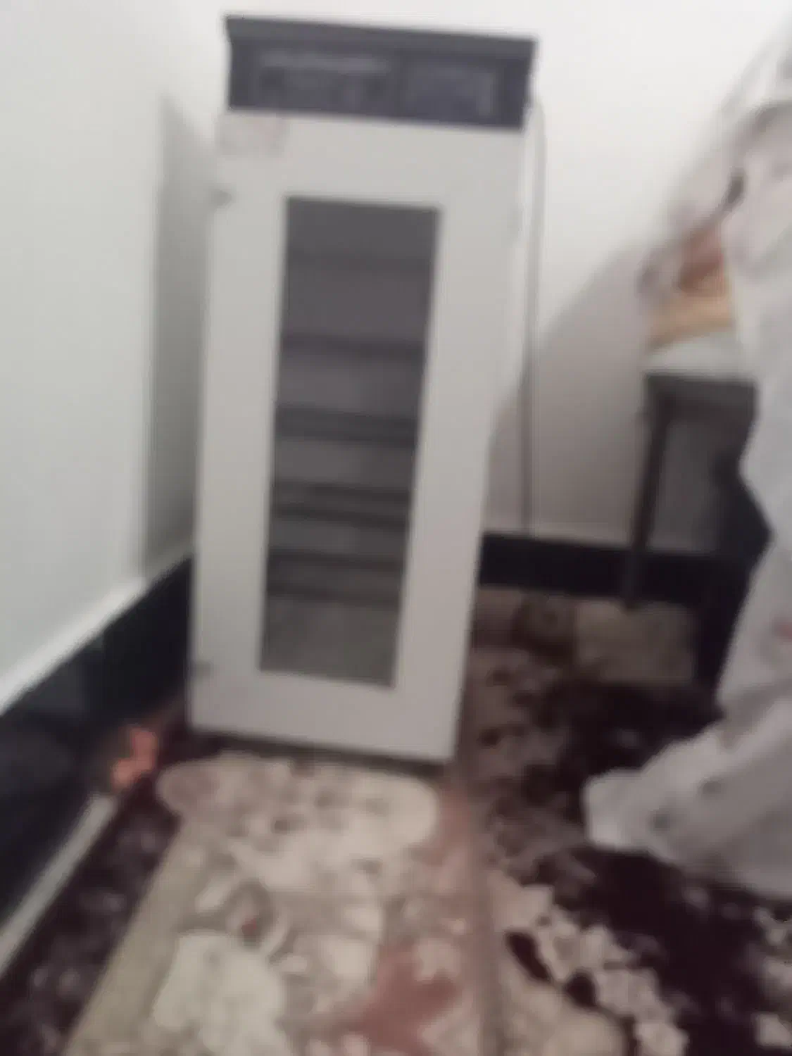 دستگاه جوجه کشی|لوازم جانبی حیوانات|زابل, |دیوار