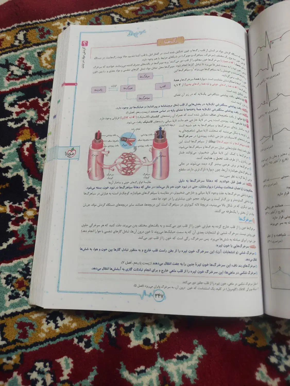 کتاب زیست دهم خیلی سبز|کتاب و مجله آموزشی|قوچان, |دیوار