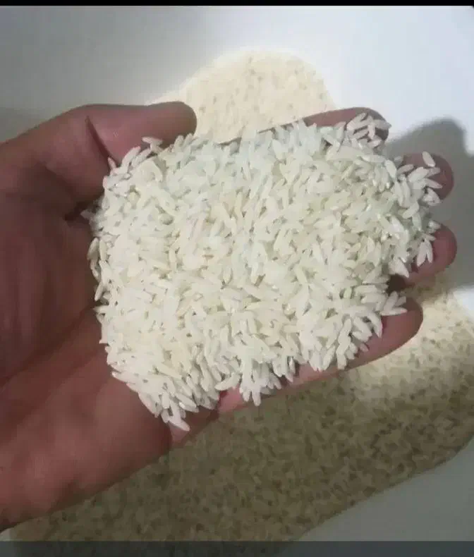 برنج ایرانی خرید مستقیم از برنجکار|خوردنی و آشامیدنی|بوشهر, |دیوار