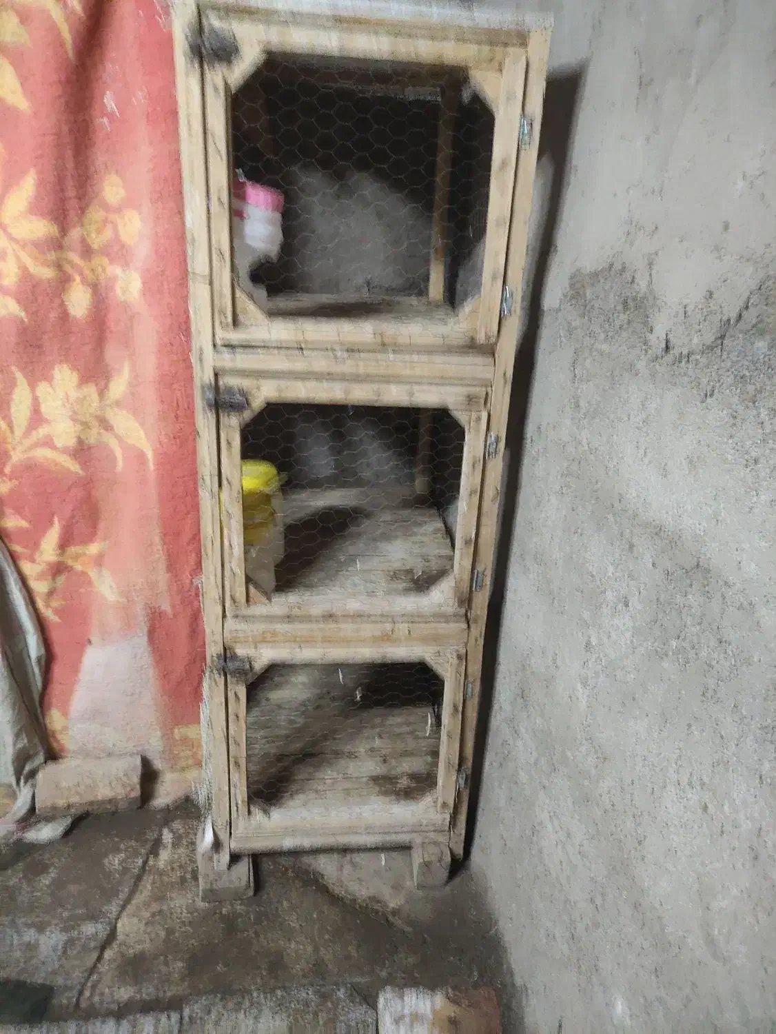 قفس پرنده|لوازم جانبی حیوانات|نیشابور, مازول|دیوار