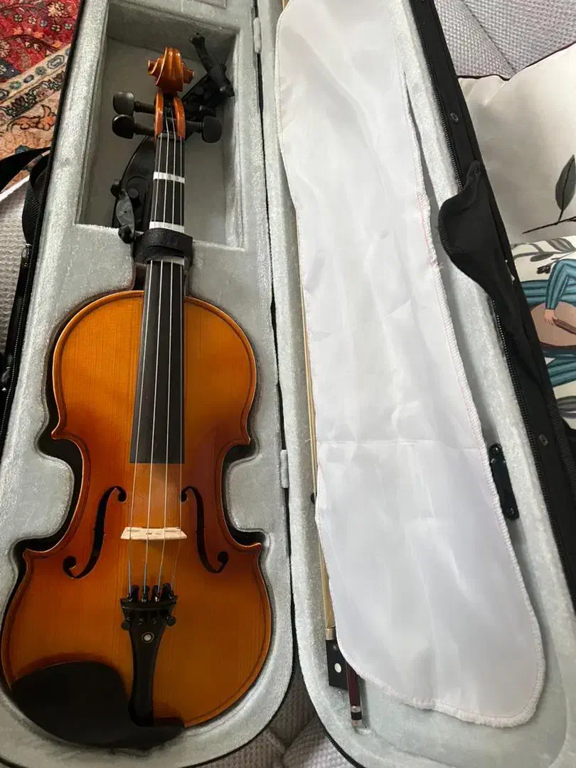 ویولن|ویولن|رشت, حاجی آباد|دیوار