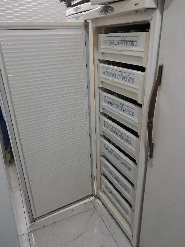 فریزر سالم پارس|یخچال و فریزر|شیراز, ده پیاله|دیوار