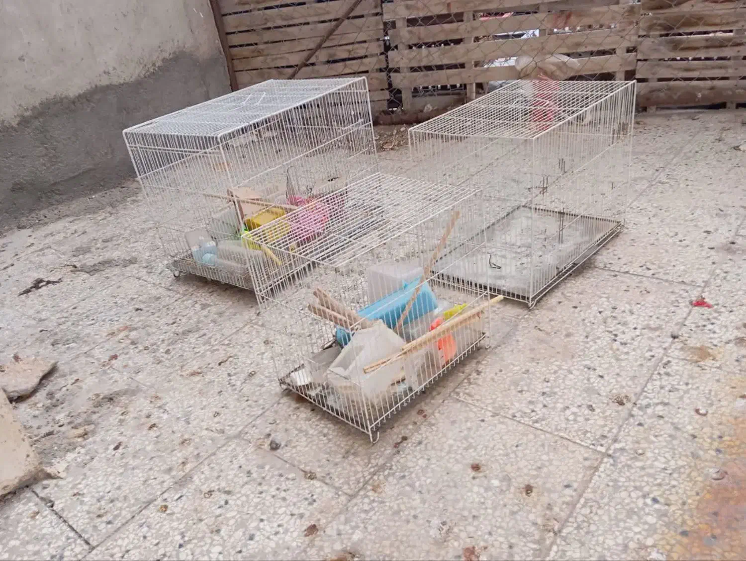 قفس|لوازم جانبی حیوانات|قوچان, |دیوار