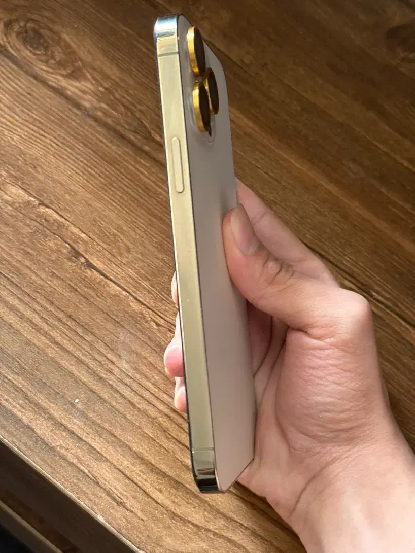 iPhone 13 pro max|موبایل|مشهد, موعود|دیوار