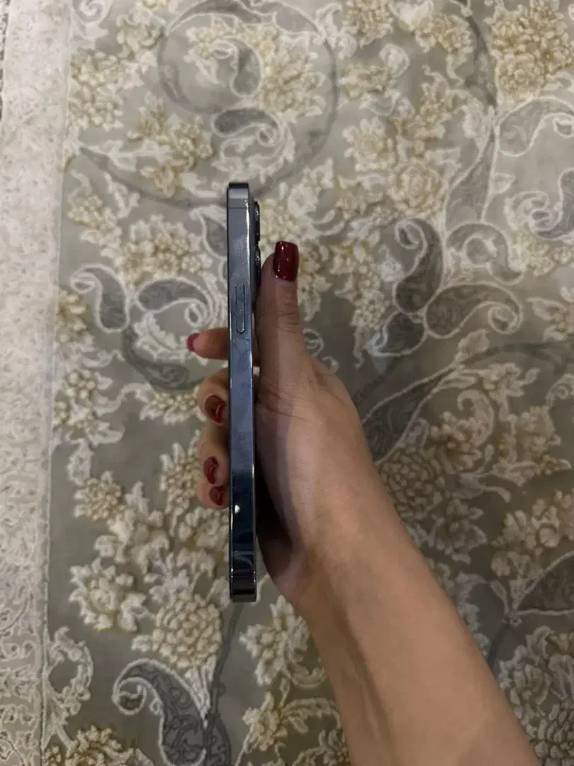 ایفون۱۳پرو1TB|موبایل|نسیم‌شهر, |دیوار