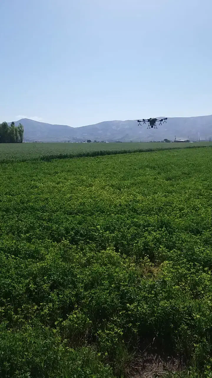 سمپاشی مزارع کشاورزی با پهپاد (پهباد)|خدمات باغبانی و درختکاری|کنگاور, |دیوار