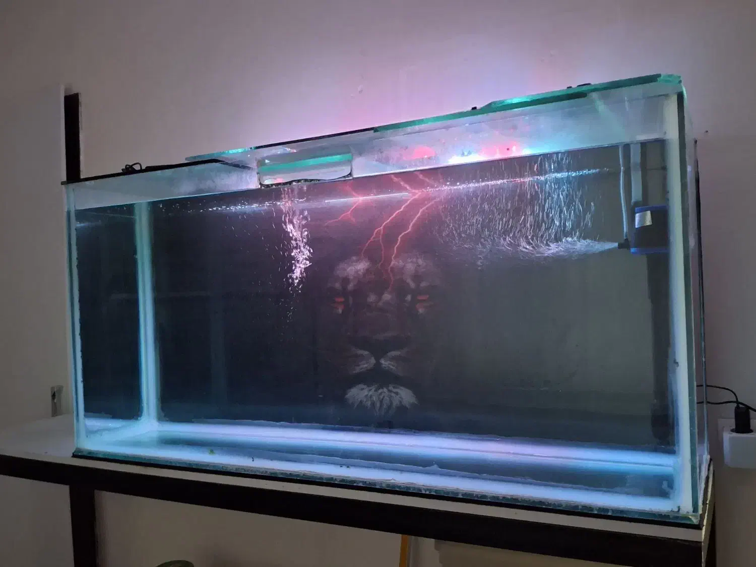 اکواریوم بزرگ درحدنو با لوازم|ماهی|بیرجند, |دیوار