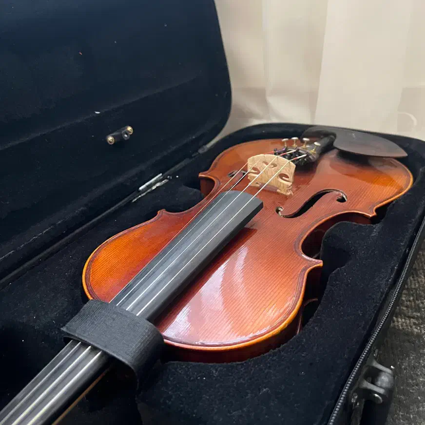 ویولون حرفه ای|ویولن|اصفهان, ناژوان|دیوار