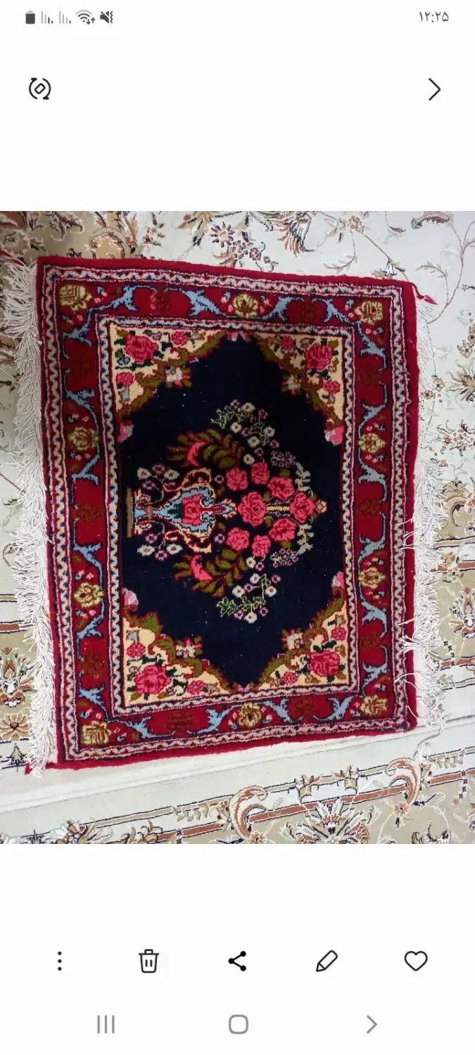 یک جفت رویه پشتی دستباف بانخ اعلا|پشتی|سنندج, |دیوار