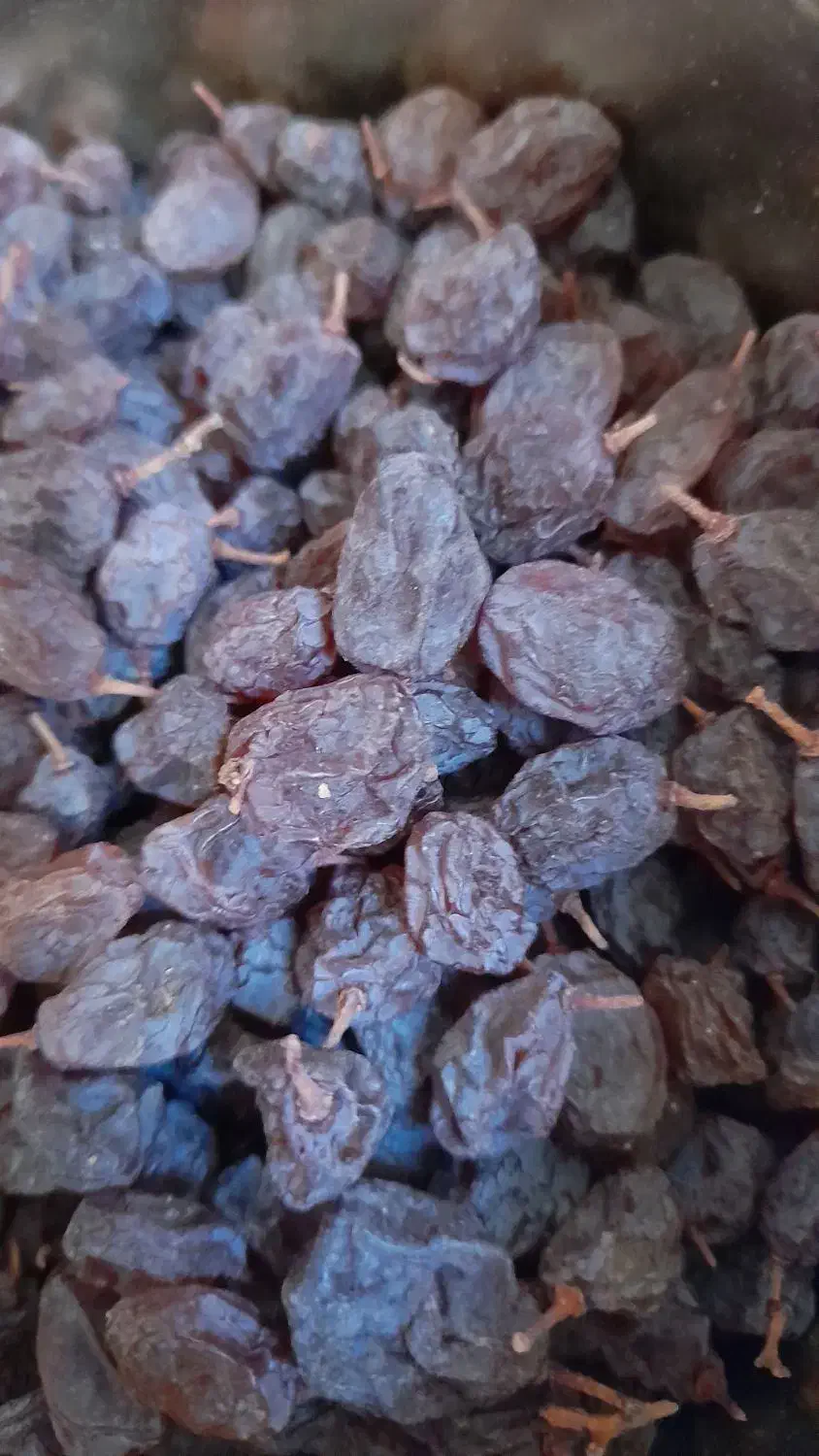 کشمش پلویی|خوردنی و آشامیدنی|فردیس, فردیس|دیوار