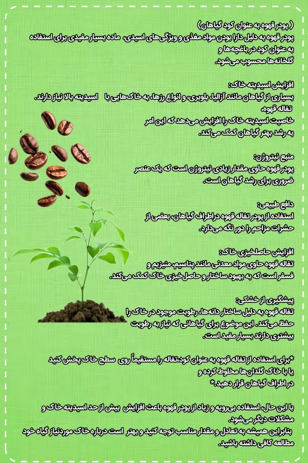 خاک تفاله قهوه گلدان|گل و گیاه طبیعی|مشهد, کوشش|دیوار