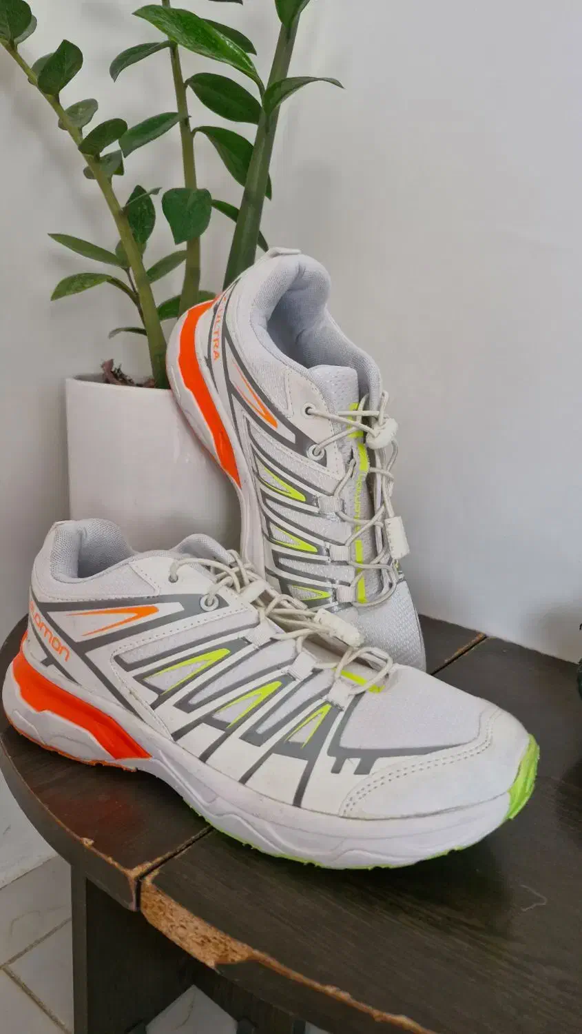 دو عدد کفش|کیف، کفش، کمربند|هشتگرد, هشتگرد قدیم|دیوار