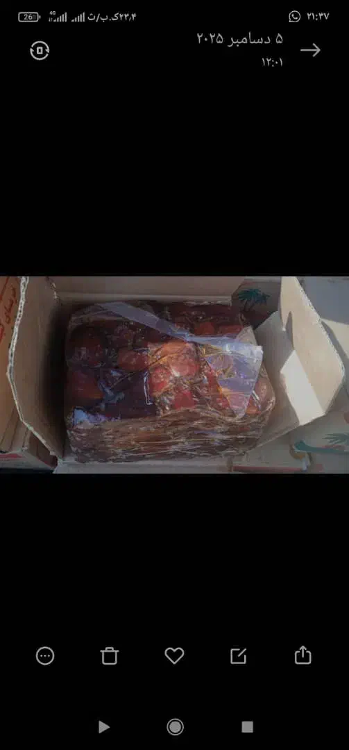 خرما درجه یک خشت|عمدهفروشی|شیراز, سیاه سنگ|دیوار