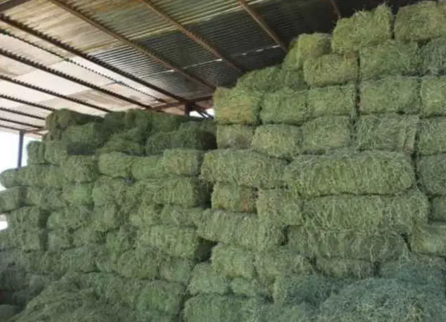 پرس یونجه|لوازم جانبی حیوانات|چناران, |دیوار