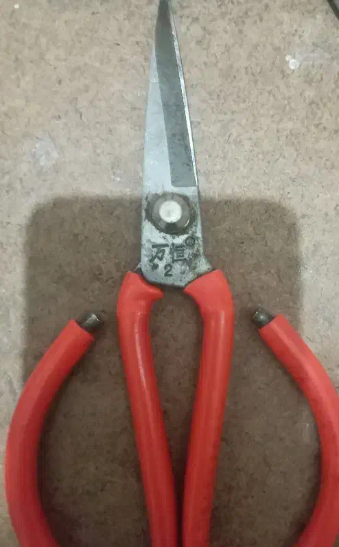 قیچی|لوازم خیاطی و بافتنی|اصفهان, ارزنان|دیوار