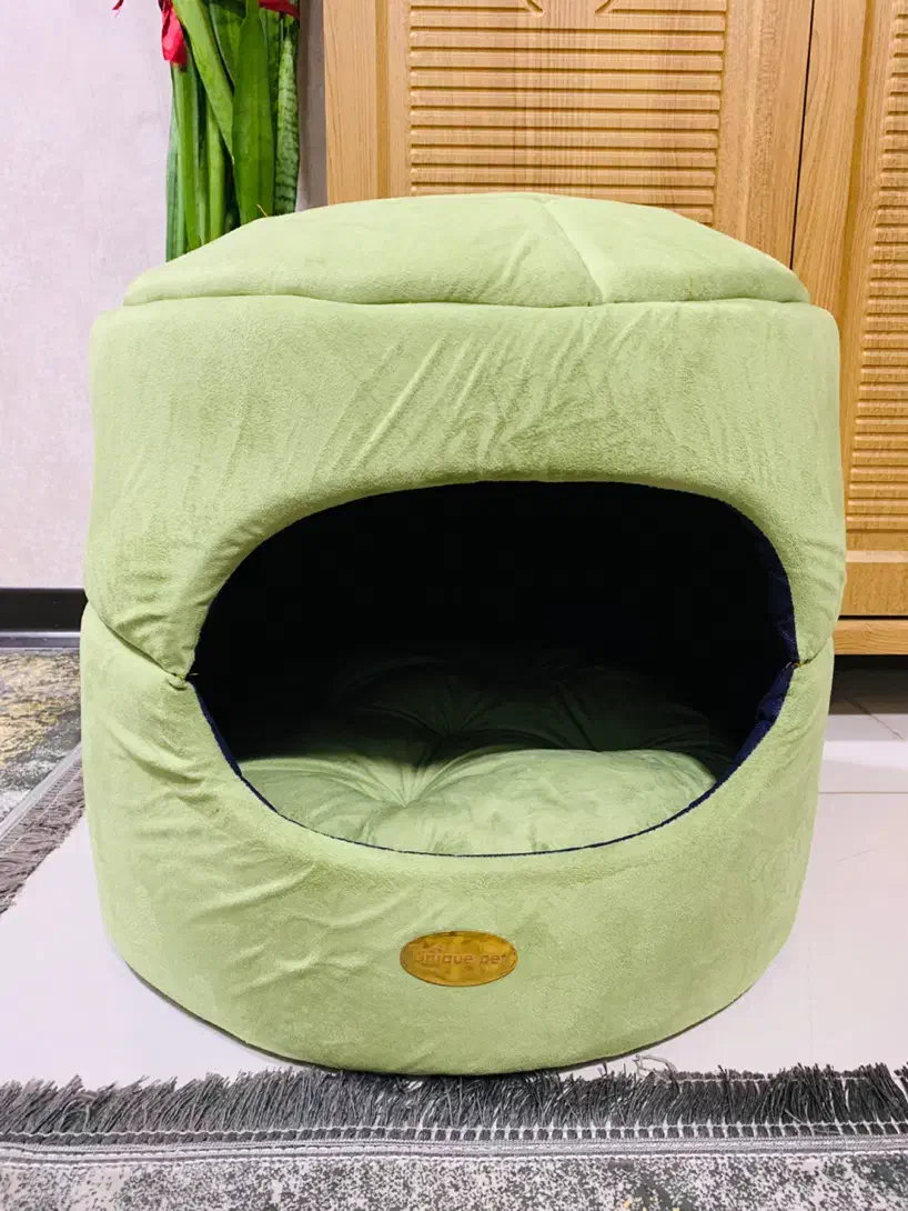 وسایل گربه|لوازم جانبی حیوانات|شیراز, شهرک گلستان|دیوار